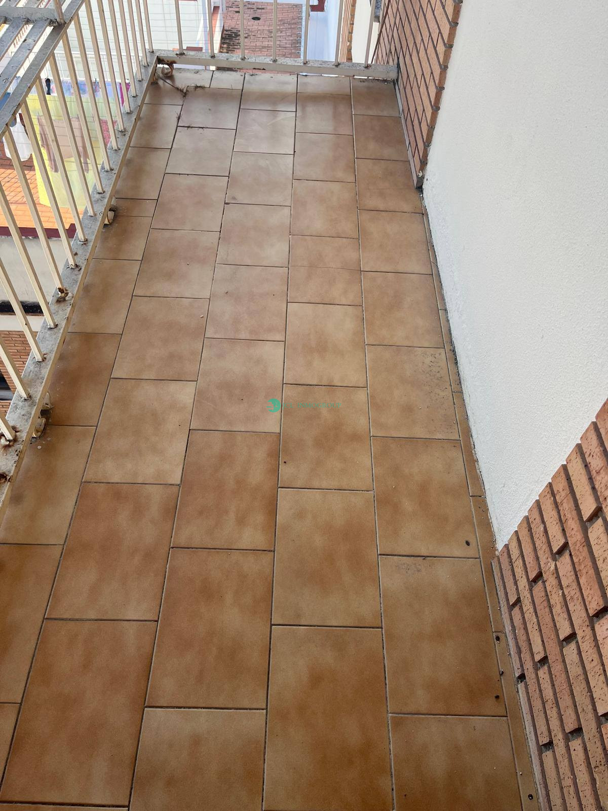 492489828_122137233236609490_4789620534078585649_n