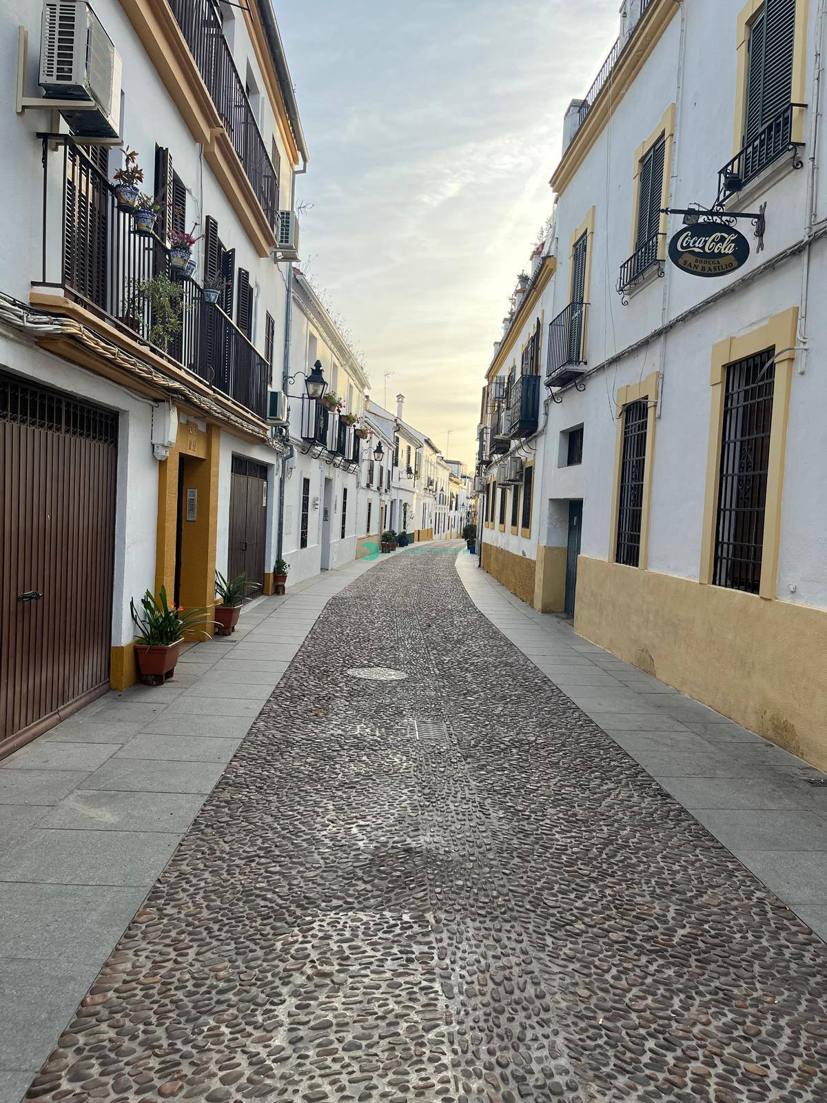 481663530_122129463926609490_4459009523239079660_n